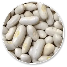 nicoya puratea white-kidney-bean